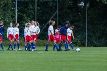 Bild 270 - B-Juniorinnen HSV - FF USV Jena : Ergebnis: 3:1